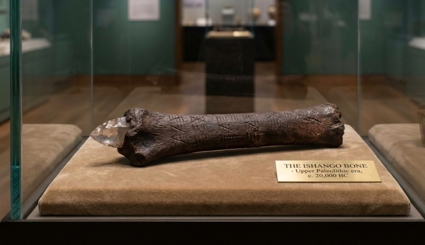 An image of ishango bone inside glass