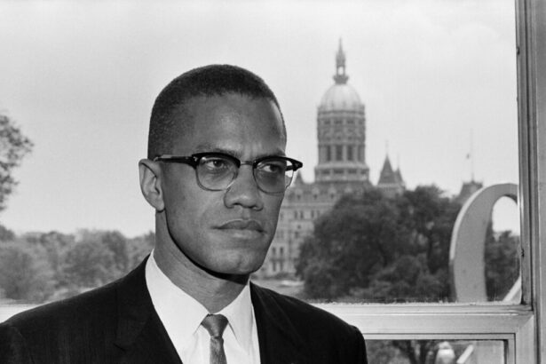 An image of malcolm x