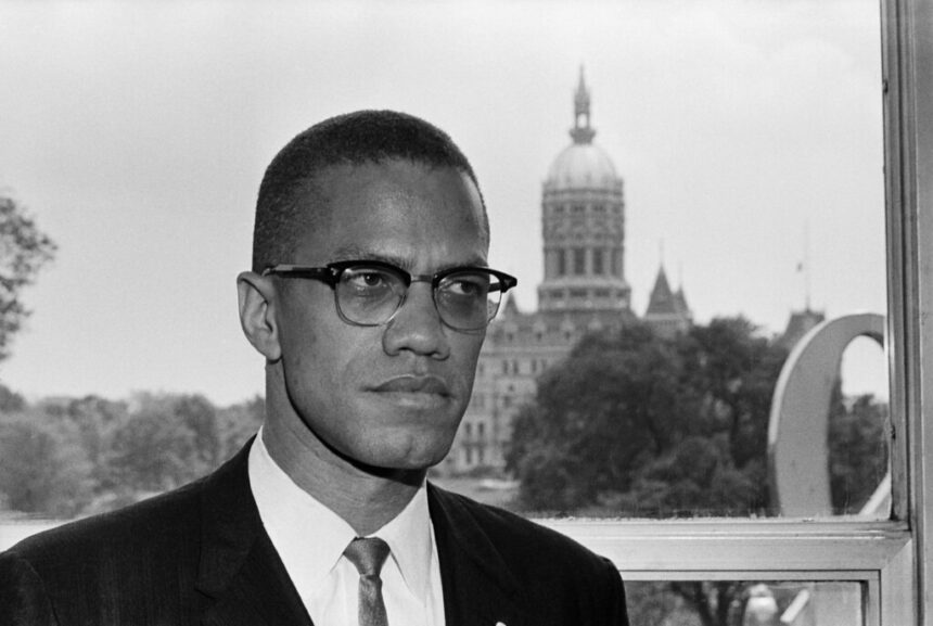An image of malcolm x